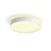EAN 8718696176542 - Philips Hue White ambiance 4116631P6 Luz de techo inteligente Bluetooth/Zigbee 33,5 W imagen 1