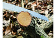 EAN 4903585356363 - Silky KSI635636 sierra Serrucho plegable de corte por tracción 36 cm Acero inoxidable, Amarillo imagen 3
