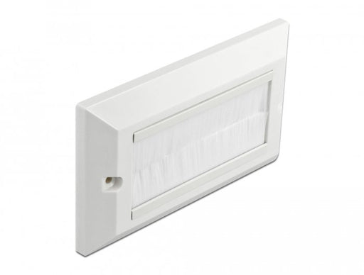 EAN 4043619664962 - DeLOCK 66496 placa de pared y cubierta de interruptor imagen 1