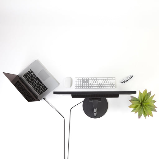 EAN 0065030840507 - StarTech.com MDP2DPMM10 cable DisplayPort Negro imagen 2