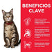 EAN 52742210407 - Hills 604003 comida húmeda para gatos 85 g imagen 3
