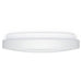 EAN 4007841069735 - STEINEL RS PRO P2 iluminación de techo LED 15,4 W imagen 2