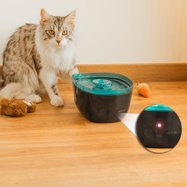 EAN 8435484095617 - Cecotec Pumba 2200 Refresh comedero y bebedero para perro y gato Plástico Negro, Azul Universal Bebedero  imagen 8