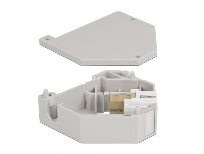 EAN 4043619871674 - DeLOCK 87167 módulo de conector de red imagen 2
