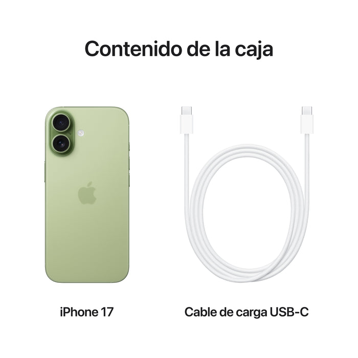 EAN 0195950645309 - Apple iPhone 17 16 cm (6.3") SIM doble iOS 26 5G USB Tipo C 512 GB Salvia imagen 8