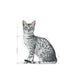 EAN 9003579013861 - Royal Canin Indoor Sterilized 85 g imagen 3