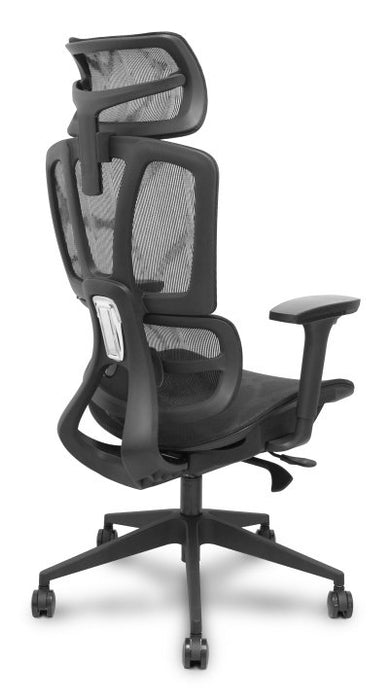 EAN 8435501019626 - PIQUERAS Y CRESPO Pro537 Asiento acolchado Respaldo de malla imagen 6