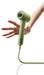 EAN 6976973850222 - Laifen Mini secador 1100 W Verde imagen 15