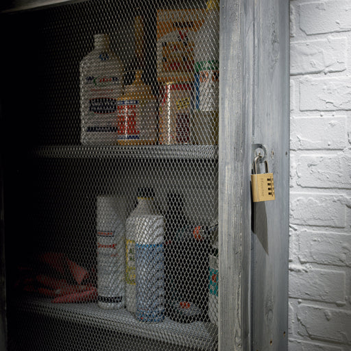 EAN 3520190193193 - MASTER LOCK 604EURD candado Candado convencional 1 pieza(s) imagen 2