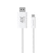 EAN 4252011907717 - 4smarts 540958 cable DisplayPort 2 m USB C Blanco imagen 4