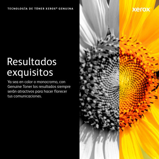 EAN 0095205764611 - Xerox 106R01533 cartucho de tóner 1 pieza(s) Original Negro imagen 7