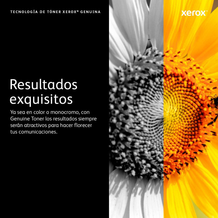 EAN 0095205882155 - Xerox 106R04079 cartucho de tóner 1 pieza(s) Original imagen 7