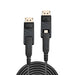 EAN 4002888384803 - Lindy 38480 cable DisplayPort 10 m Mini DisplayPort Negro imagen 1