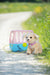 EAN 4001167835869 - BABY born My Dog Lucky with Box Mascota de muñeca imagen 5