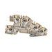 EAN 4064675030515 - Weidmüller AITB 2.5 BB L-L-PE bloque de terminales 3 Beige imagen 1