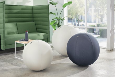 EAN 4002432134762 - Leitz Ergo pelota de ejercicios 65 cm Gris De tamaño completo imagen 6