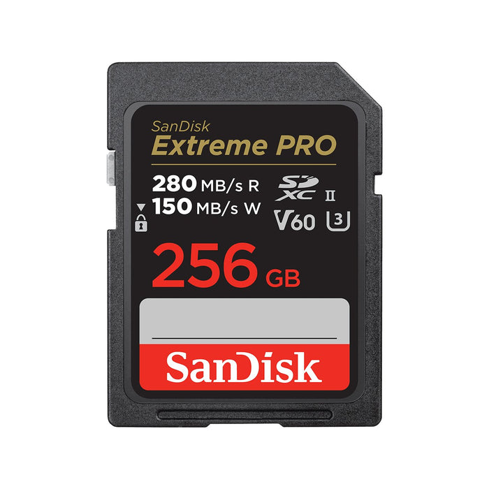 EAN 0619659202149 - SanDisk SDSDXEP-256G-GN4IN memoria flash 256 GB SDXC UHS-II Clase 10 imagen 1
