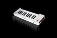 EAN 3760033532318 - Arturia MicroLab mk3 teclado MIDI 25 llaves USB Blanco imagen 4
