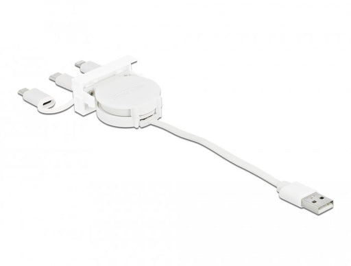 EAN 4043619813759 - DeLOCK 81375 cable USB 0,5 m USB A USB C imagen 2