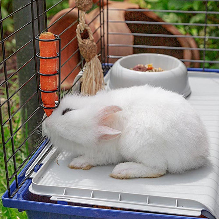 EAN 8010690101606 - Ferplast Rabbit 120 Conejo Azul imagen 6