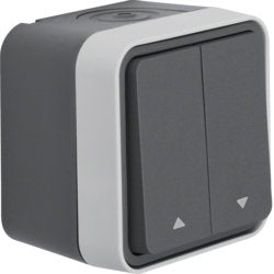 EAN 4011334391197 - Berker 30753525 interruptor eléctrico Interruptor oscilante 1P Gris imagen 1