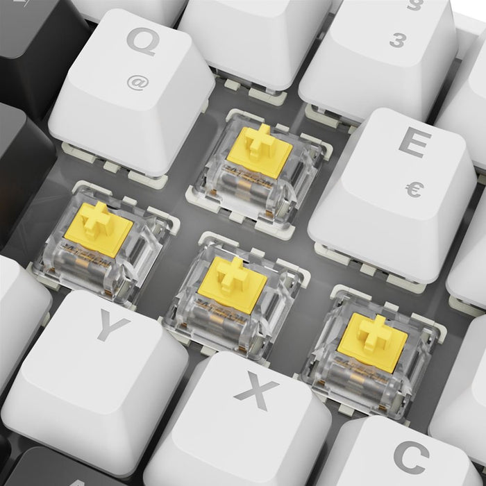 EAN 4044951041886 - Sharkoon SGK50 S4 teclado Hogar USB QWERTZ Alemán Blanco imagen 7