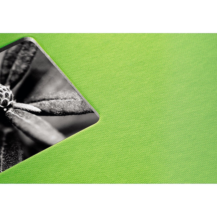 EAN 4007249021168 - Hama Fine Art álbum de foto y protector Verde 300 hojas 10 x 15 cm imagen 6