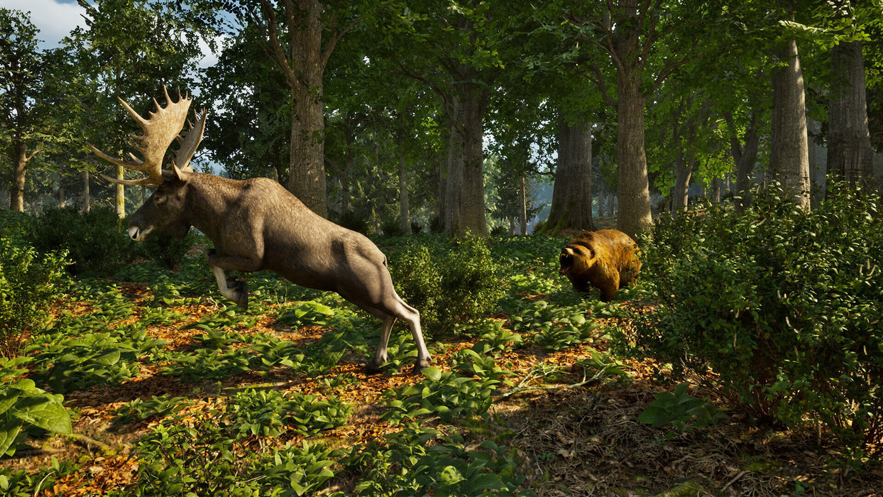 EAN 4015918166201 - Aerosoft Park Ranger Simulator imagen 11
