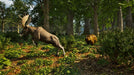 EAN 4015918166201 - Aerosoft Park Ranger Simulator imagen 11