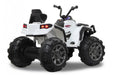 EAN 4042774433802 - Jamara Quad Protector Quad de juguete eléctrico imagen 2