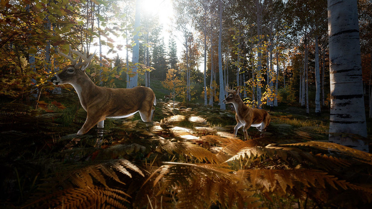 EAN 3665962001358 - Bigben Interactive Hunting Simulator 2 Estándar Nintendo Switch imagen 8