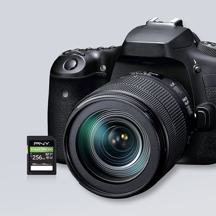 EAN 751492666129 - PNY EliteX-PRO60 256 GB SDXC UHS-II Clase 10 imagen 3