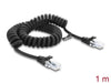 EAN 4043619881611 - DeLOCK 88161 cable de red Cat5e U/UTP (UTP) imagen 1