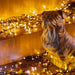 EAN 8056326672805 - Twinkly Cluster (Gold & Silver) Tira de luz inteligente Wi-Fi/Bluetooth imagen 5