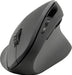EAN 4027301318722 - SPEEDLINK SL-630019-RRBK ratón Oficina mano derecha RF Wireless + USB Type-A Óptico 1600 DPI imagen 2