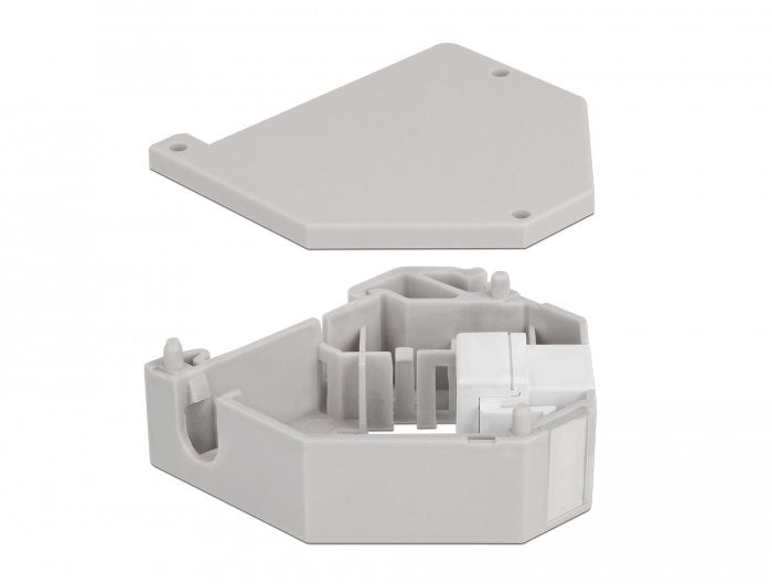 EAN 4043619871636 - DeLOCK 87163 módulo de conector de red imagen 2
