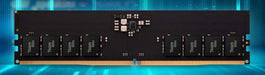 EAN 0765441664029 - Team Group ELITE TED532G5200C42DC01 módulo de memoria 32 GB 2 x 16 GB DDR5 288-pin DIMM imagen 1