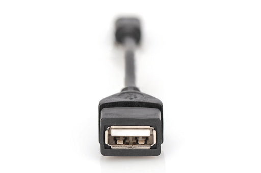 EAN 4016032324034 - Digitus AK-300310-002-S cable USB USB 2.0 Mini-USB B USB A Negro imagen 2