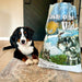 EAN 0074198612451 - Taste of the Wild Pacific Stream 2 kg Cachorro Bola, Salmón, Batata imagen 5