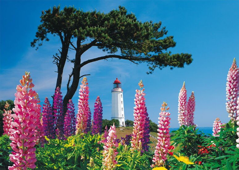 EAN 4001504580674 - Schmidt® Spiele 58067 puzzle Puzzle rompecabezas 1000 pieza(s) Paisaje imagen 2