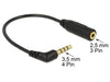 EAN 4043619656738 - DeLOCK 0.175m 3.5mm/2.5mm cable de audio 0,175 m 3,5mm 2,5mm Negro imagen 2