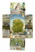 EAN 3558380135173 - Asmodee LOG0156ES juego de tablero Forest Shuffle Dartmoor 60 min Juego de mesa Estrategia imagen 3