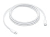 EAN 0195949775390 - Apple MYQT3ZM/A cable USB 2 m USB C Blanco imagen 1
