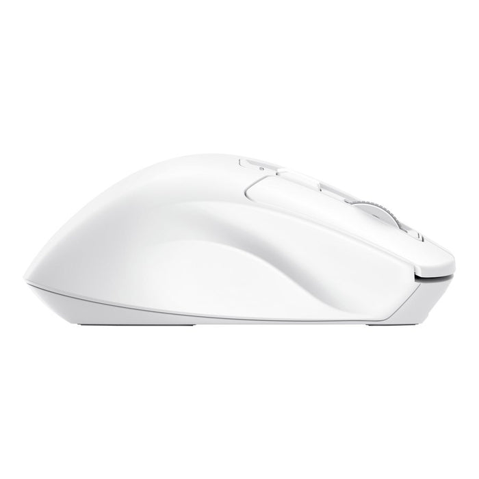EAN 8713439260229 - Trust Niven ratón Oficina mano derecha RF Wireless + Bluetooth 3200 DPI imagen 6