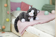 EAN 4001167837580 - BABY born My Cat Cookie with Box Mascota de muñeca imagen 9