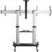 EAN 0065030891653 - StarTech.com STNDMTVDUO soporte para TV 152,4 cm (60") Negro, Plata imagen 4
