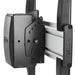 EAN 841872156194 - Chief MCM1U accesorio para soporte de monitor imagen 2