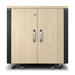 EAN 731304621720 - APC AR4012A armario rack 12U Rack o bastidor independiente Negro, Color madera de arce imagen 1