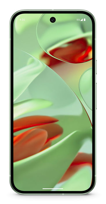 EAN 0840353911611 - Google Pixel 9 16 cm (6.3") SIM doble Android 14 5G USB Tipo C 12 GB 256 GB 4700 mAh Verde imagen 1
