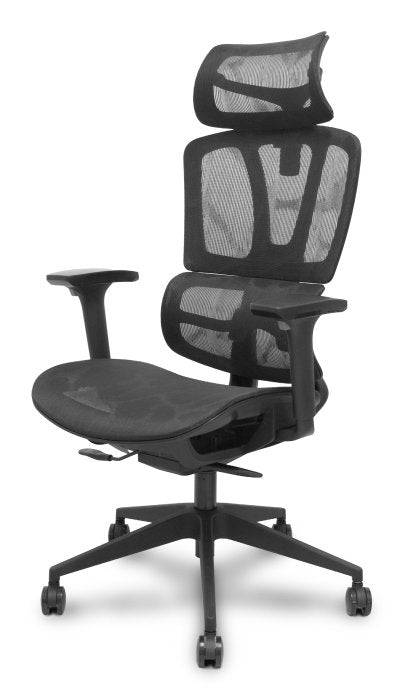 EAN 8435501019626 - PIQUERAS Y CRESPO Pro537 Asiento acolchado Respaldo de malla imagen 2